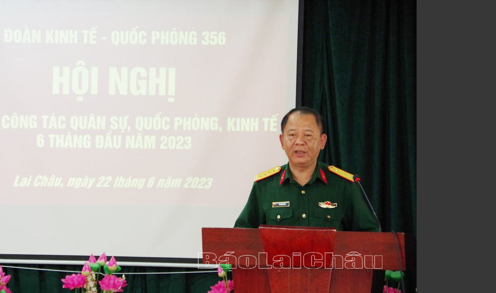 Đại tá Đỗ Ngọc Minh - Đoàn trưởng Đoàn KT - QP 356 phát biểu kết luận Hội nghị. 